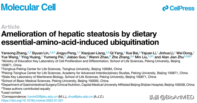 朱健课题组揭示必需氨基酸抵御脂肪肝病的作用机制