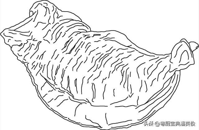 花胶断面有两层吗 2026年花胶断面有两层吗为什么