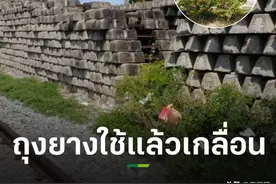 泰国芭提雅一地沦为“野战”胜地 遍地用过避孕套图片