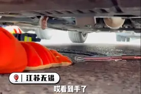 江苏无锡 流浪猫胆小怕生钻进汽车引擎盖里怎么叫也不出来，车主无奈报警求助图片