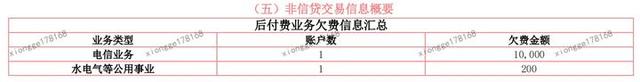 征信显示逾期是啥样的，征信显示逾期是啥样的记录 配图18