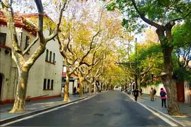 这9条绝美老街，有故事有风景，优雅与烟火气并存，值得细细品味图片