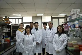 我国科学家建立蛋白质从头设计新方法图片