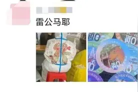 出圈的“雷公马”，还有这些海南故事……图片