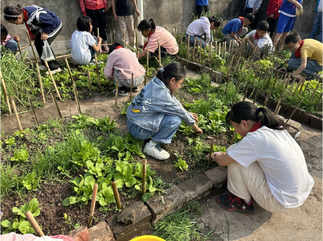 四川省民生研究会新媒体中心-官网