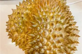 没开口的榴莲要放几天才能熟？榴莲买“裂口”的还是“闭口”的？图片