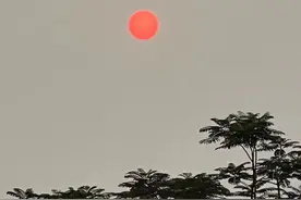 江湖仁义大哥—聂磊替闻强收拾王俊利图片