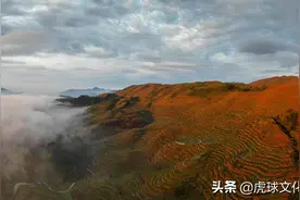 学了半辈子的专业知识，我们真的知道如何过好一生吗？图片