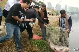 70岁老汉因为钓鱼，得罪了很多村民，原因是电鱼的人太多？图片