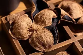 陈皮的三种搭配，适合湿气重的结节患者图片