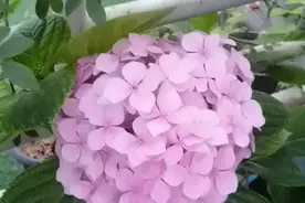 什么才是对自己好一点？图片