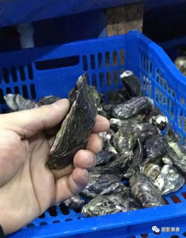 40头的花胶是几级 2025年花胶40头是什么意思?