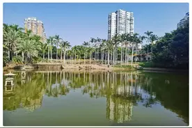 图说思明 | 莲花公园: 朵朵荷花绽芳华图片