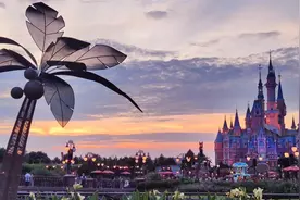 迪士尼、“回头客”与消费能力图片