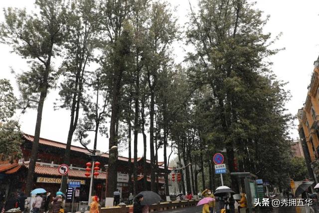 ���⣡��ɽ�ֵ���������Ӱ���н����������������������ͼ��diu��������