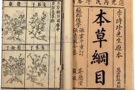 《本草纲目》图片