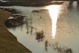 2021高考英语真题和各地模拟试题分类汇编（专题04 介词）图片