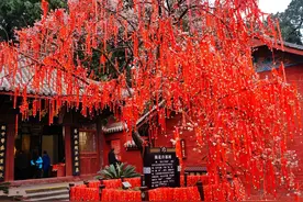 “文昌诞，迎状元”，二月初三“文昌诞”，家中有学生的建议了解图片