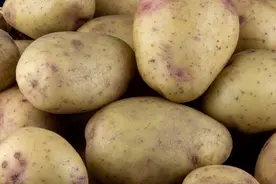 被放射线照射过的土豆，还能吃吗？医生坦言：有人可能已经吃过了图片