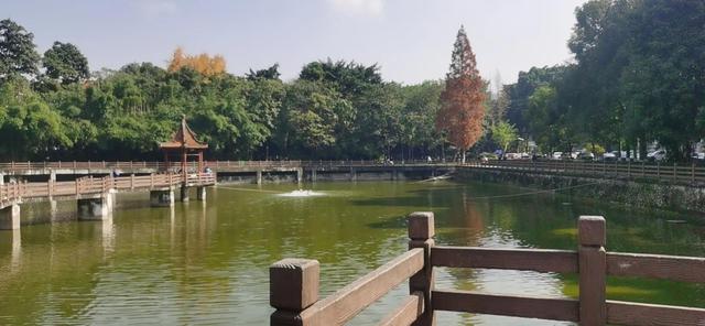 光化性角化病怎么办