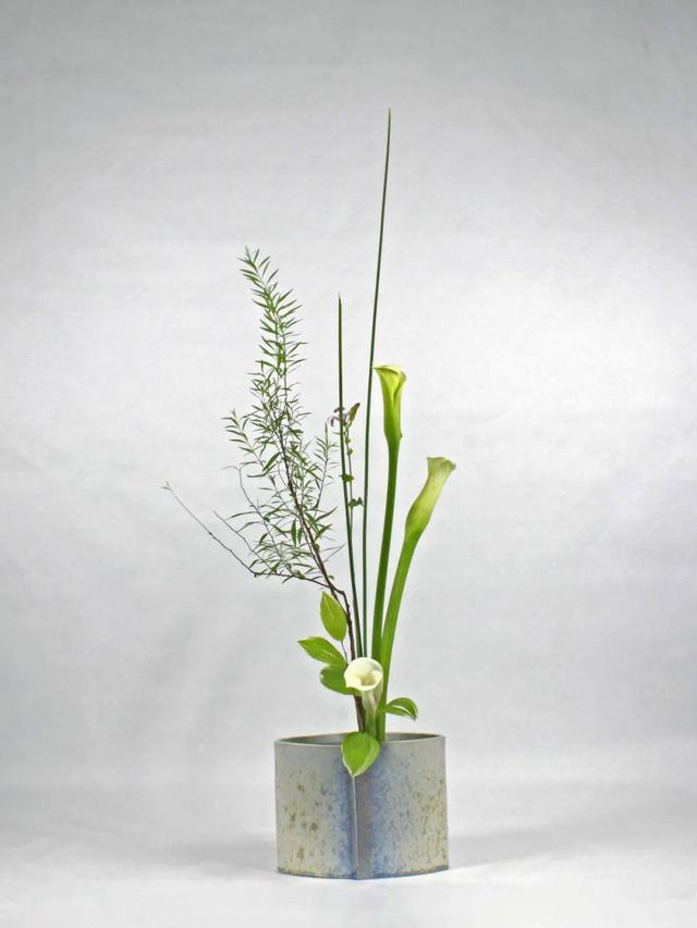 日式插花_植物知识网