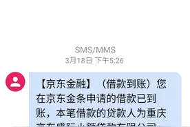 我被京东金融骗了图片