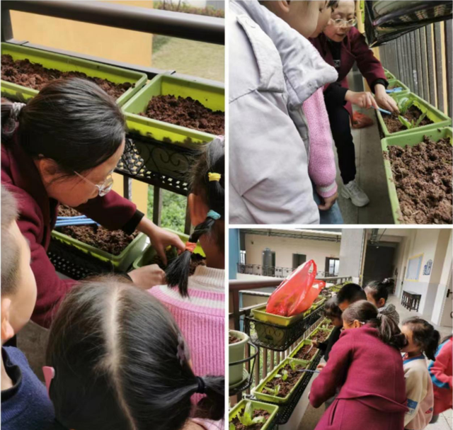 四川省民生研究会新媒体中心-官网