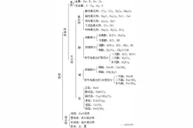 化学一轮复习必修一 1.1物质的分类和转化图片