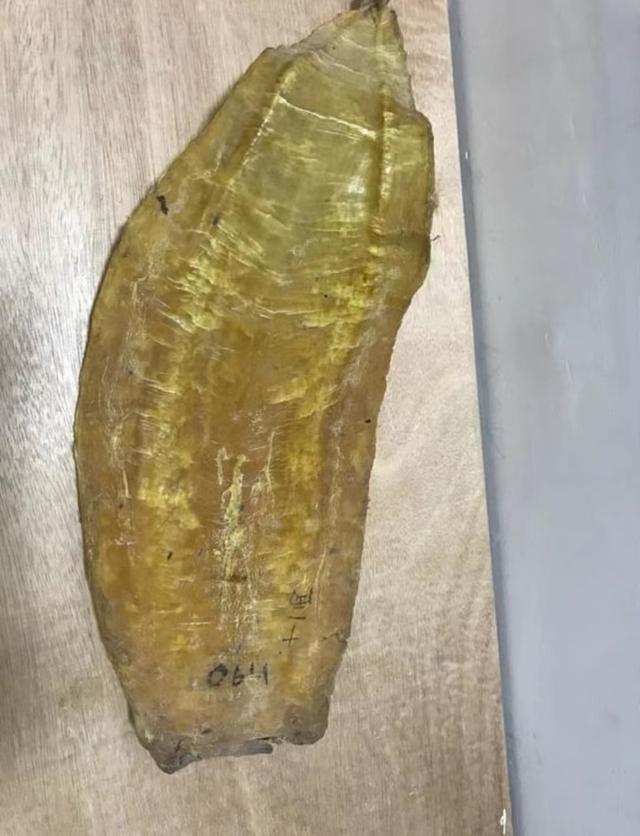 花胶泡黑了还可以吃吗 花胶泡黑了还可以吃吗图片