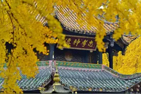 人有贵气，一看便知：自带“贵气”的人，往往会有这四种特质图片