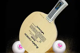 Viscaria的“前世今生”—金标VIS为何受追捧（上）图片