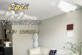跑了10家工地，我终于明白了墙面乳胶漆杏子灰和太空漫步的区别图片