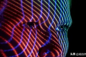 你是四色视觉吗？真实的世界到底是怎样的？图片