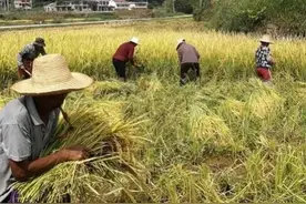 不管你信不信，一个女人就是一个家的风水图片