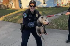 30张让人窒息的“巨物”照片，看完后巨物恐惧症彻底发作了图片