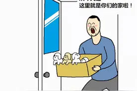 漫画—《当你养了几只大型犬的生活》图片
