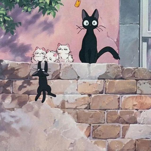 15������Ȧ�����������İ�