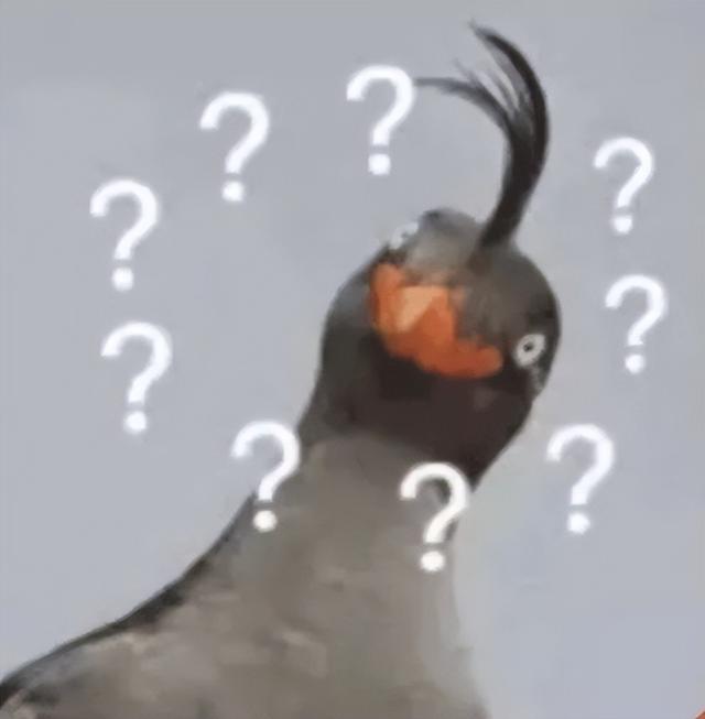 累了毁灭吧表情包