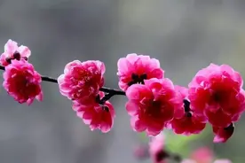 你所关注的仍未发放的2021年绩效奖金：山东有地方在四月底发放了图片