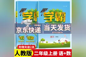 准备做小学数学培优辅导老师，能推荐几本好的教辅资料练习使用吗图片