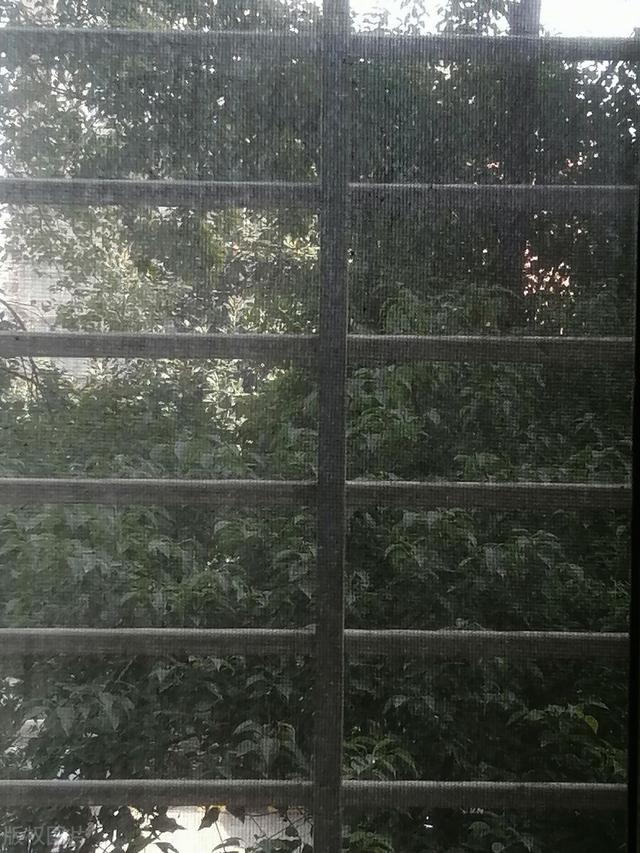 换了2次纱窗，我终于明白了200元金刚网和100元高透网的区别