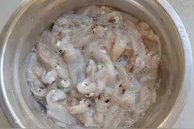 鲜美、脆嫩的海兔图片