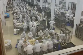 不做月饼的时候，月饼厂家都在干嘛？网友：没有对比就没有伤害图片