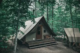 吐血整理！25个神仙宝藏网站，让你自学成才图片