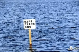 4月1日起！黄河巩义段禁渔图片