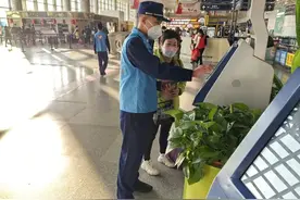 西双版纳“火焰蓝” 情暖旅游名城图片