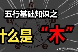五行基础知识之《木的含义与其所代表的是什么？》图片
