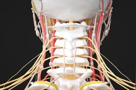 颈部血管堵住，身体可能会有四种症状！三个运动小妙有效预防图片