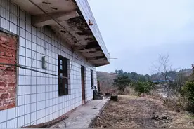回村过年：乡村的寂寞与狂欢图片