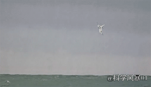 马航失踪事件真相芯片专家 马航失踪事件真相是哪一年